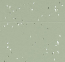 Forbo Sphera Evolution 50434 sage фото 2 | FLOORDEALER